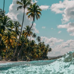 As 5 melhores praias em Ubatuba para quem curte calmaria e sossego